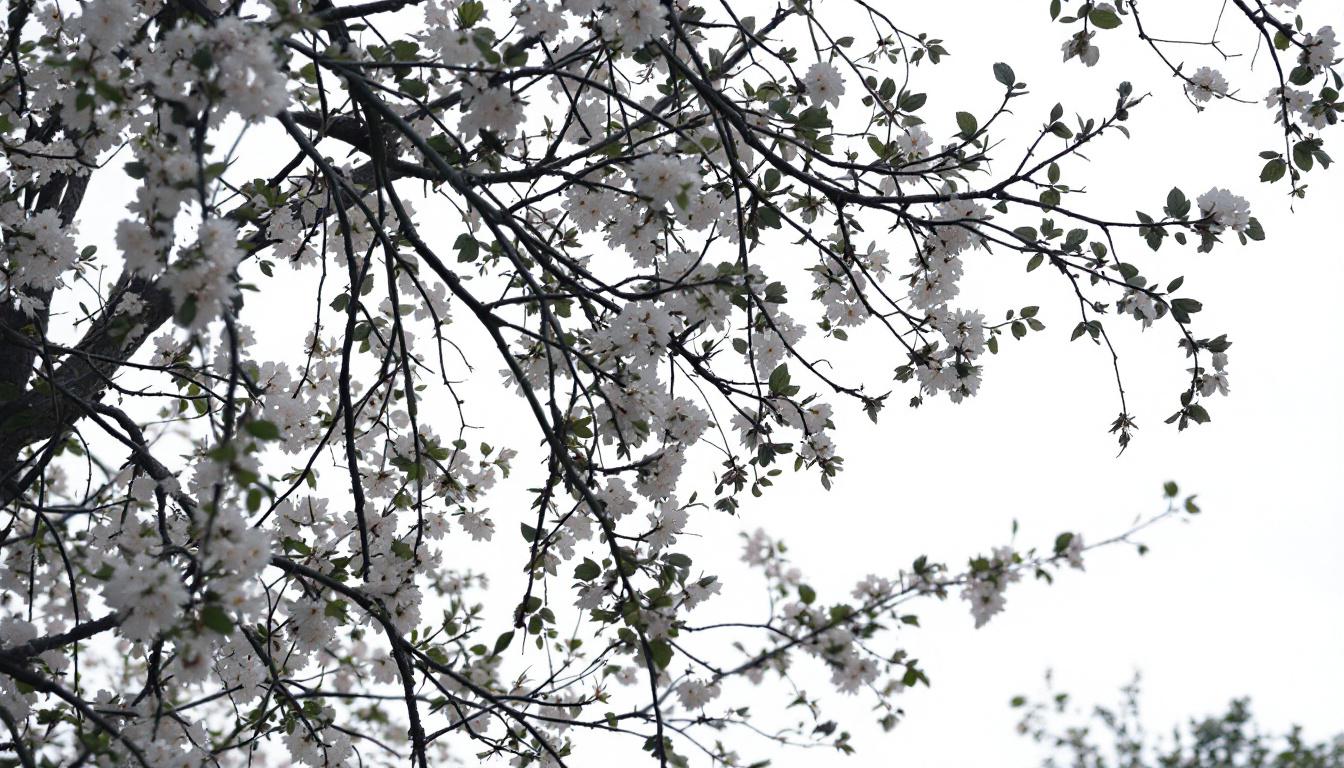 découvrez les témoignages de clients satisfaits de la box de stockage à bezons quai, une solution pratique et sécurisée pour entreposer vos biens en toute tranquillité.