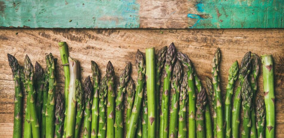 Congeler asperge