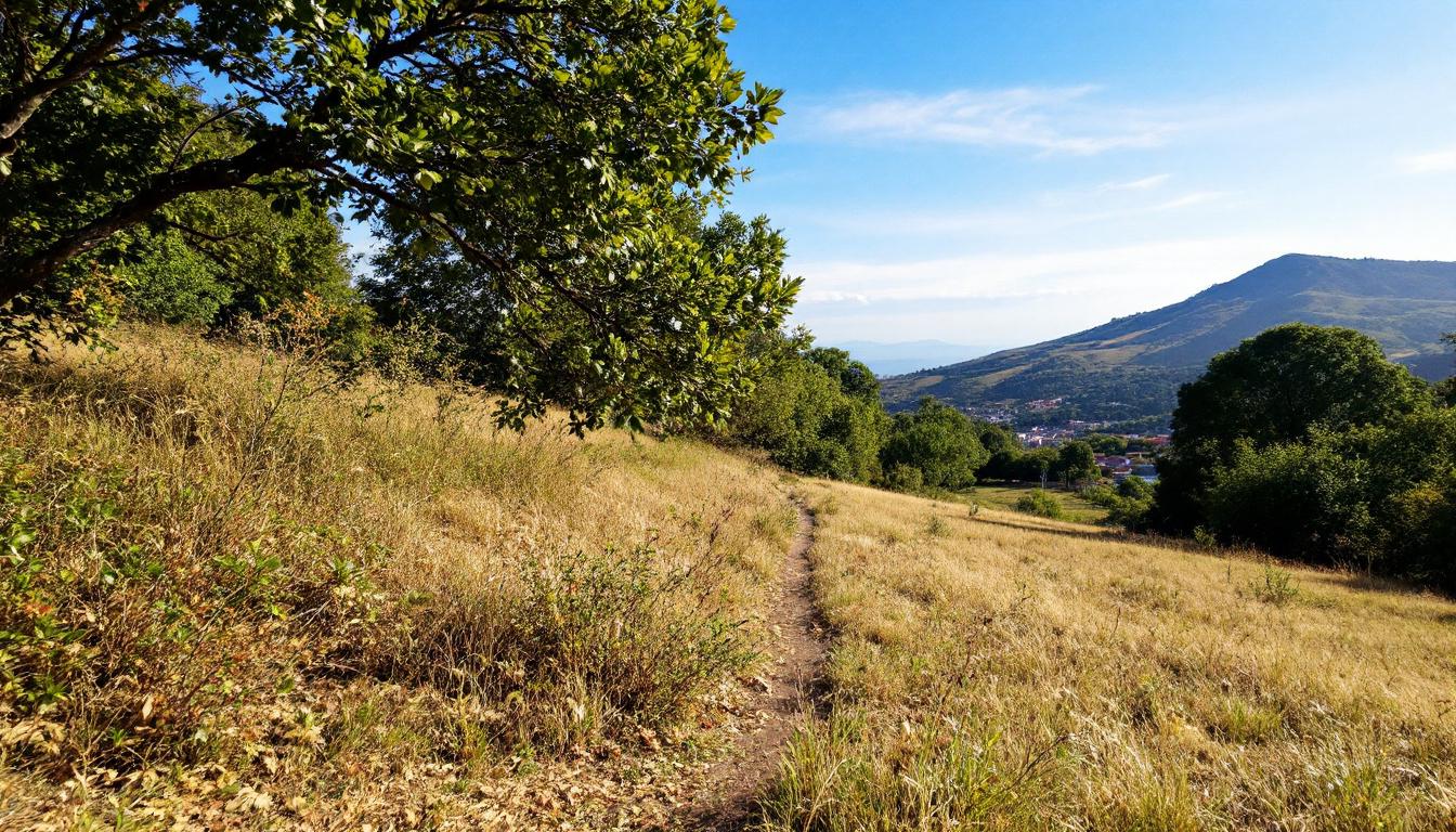 découvrez notre sélection des meilleurs sites de locations de vacances à biarritz pour trouver l'hébergement idéal et profiter pleinement de votre séjour au pays basque.