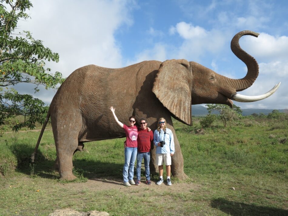 afrique safari