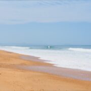 coquillages les landes