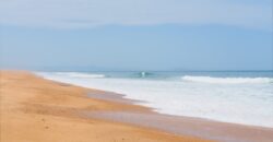 coquillages les landes