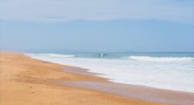 coquillages les landes