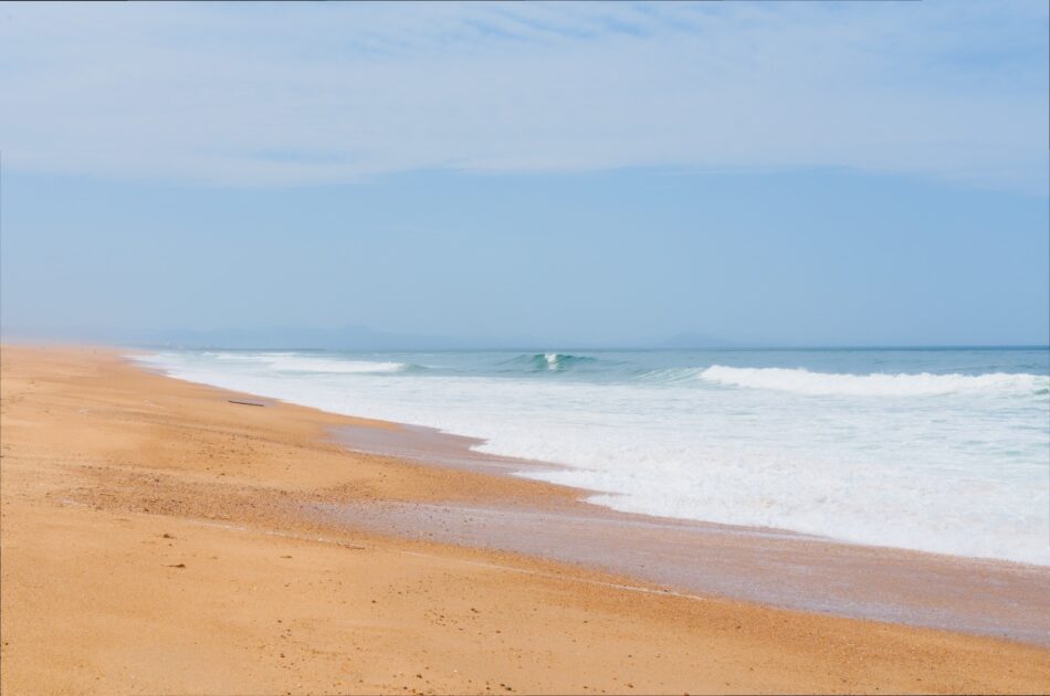 coquillages les landes