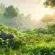 emplacements secrets acier Beskar