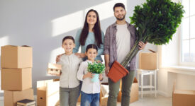 expédition plante