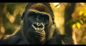 géant des primates