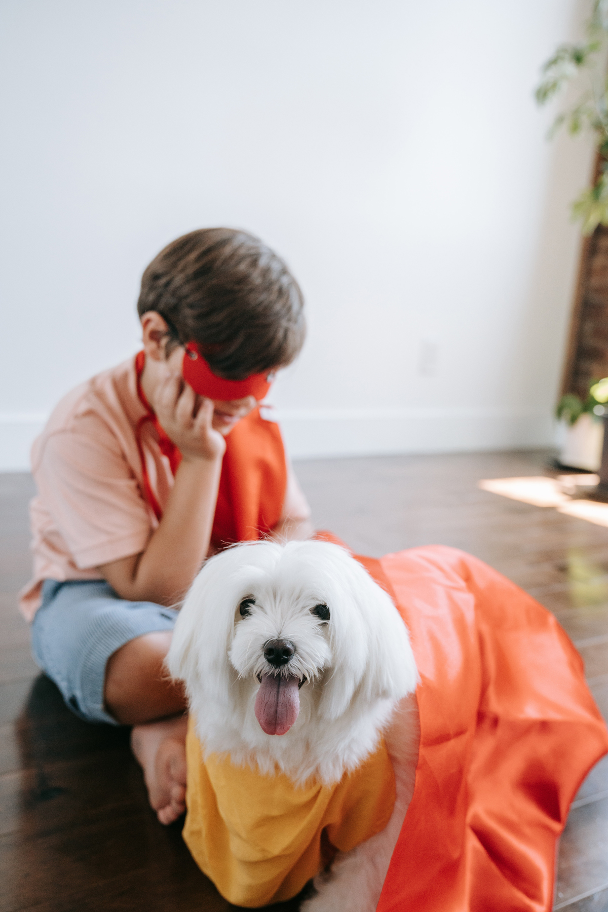 nom mignon et original de chien femelle